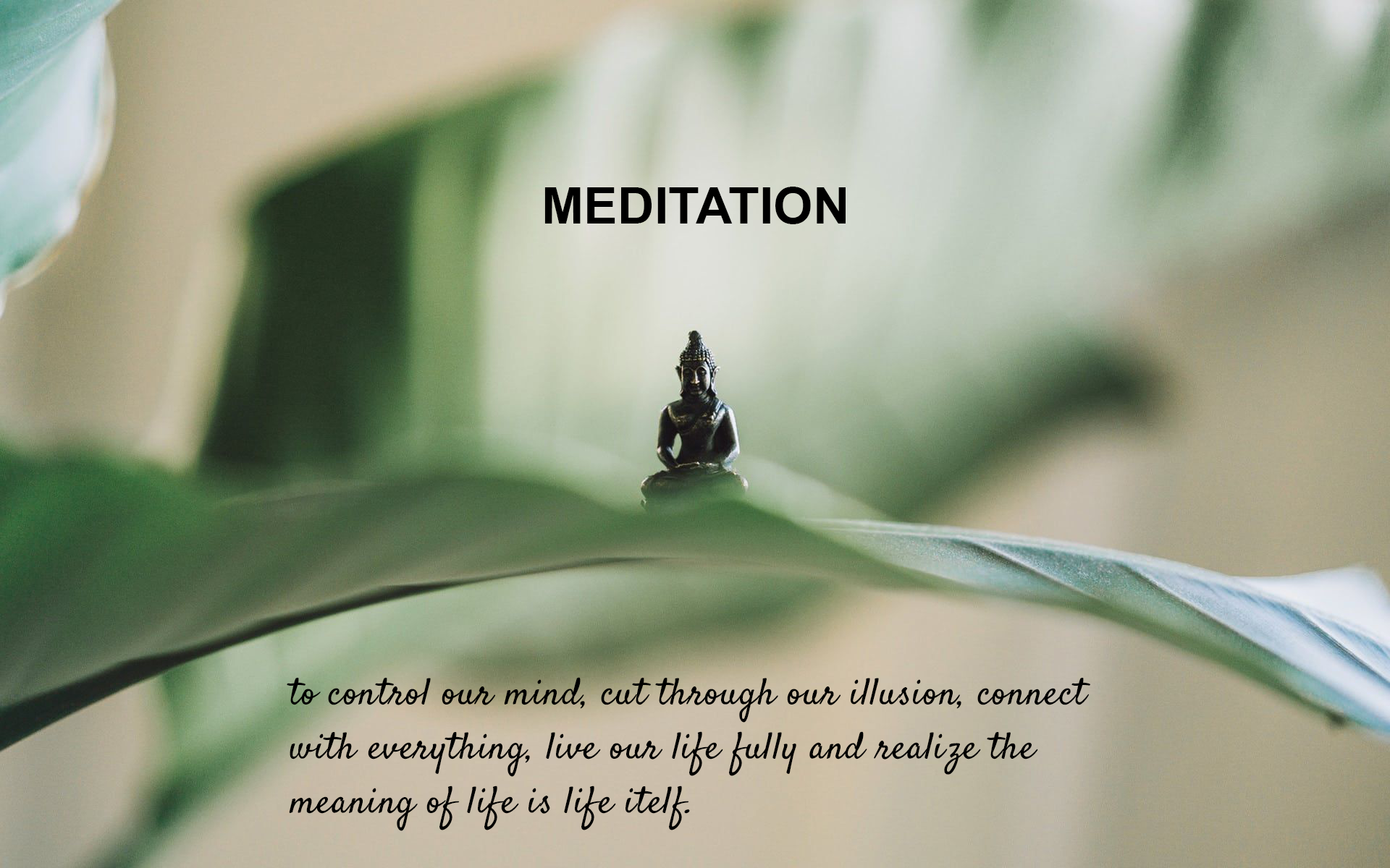 About Us   YOGA & MEDITATION