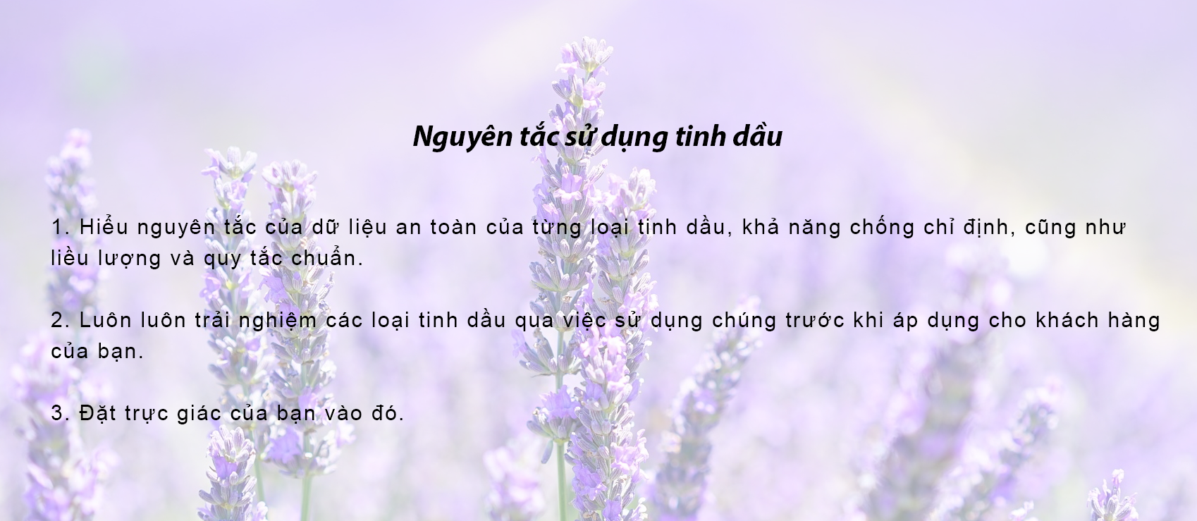lavender blossom 1