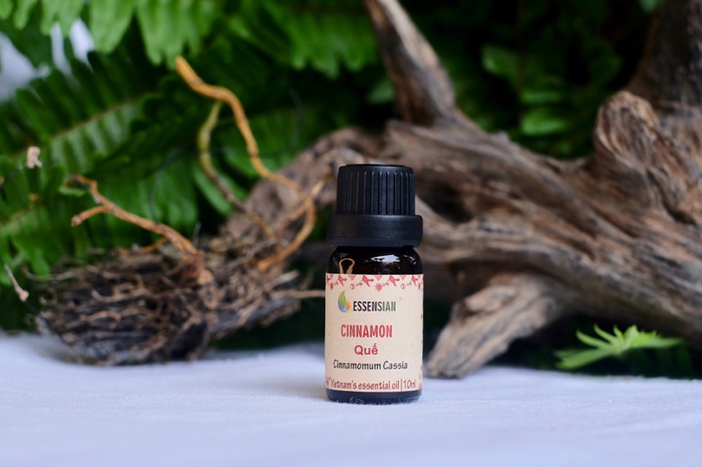 essential_oil___oil_-_cinnamon_71062140