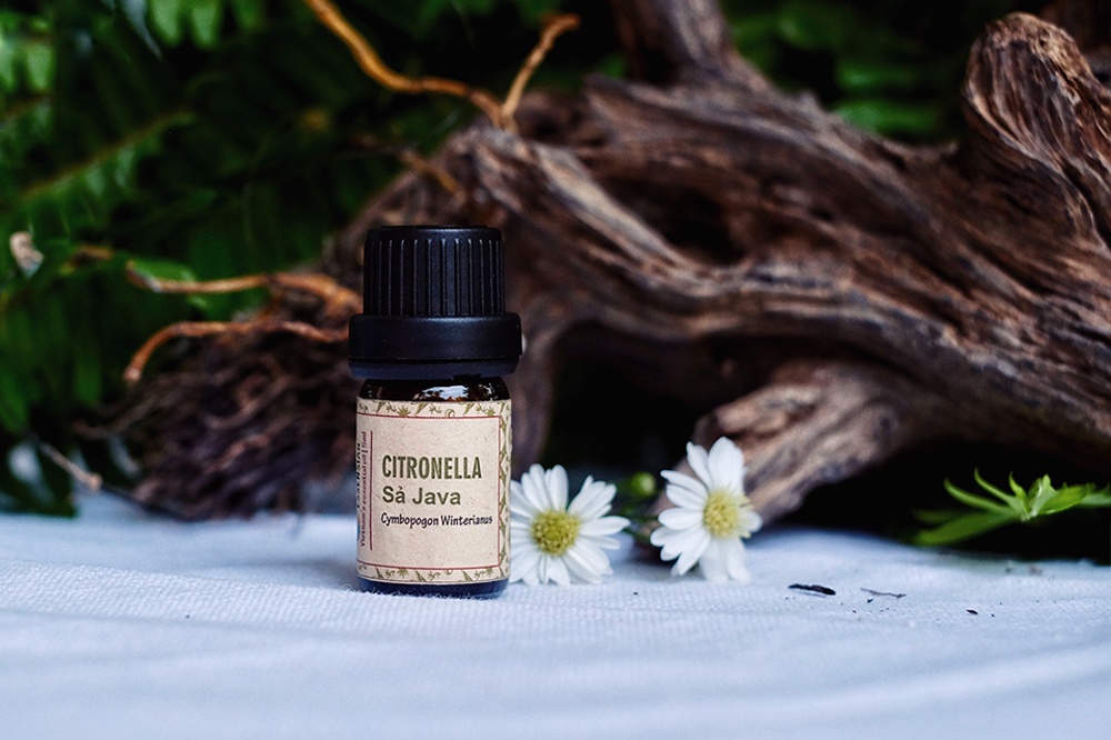 essential_oil___oil_-_citronella_272173672