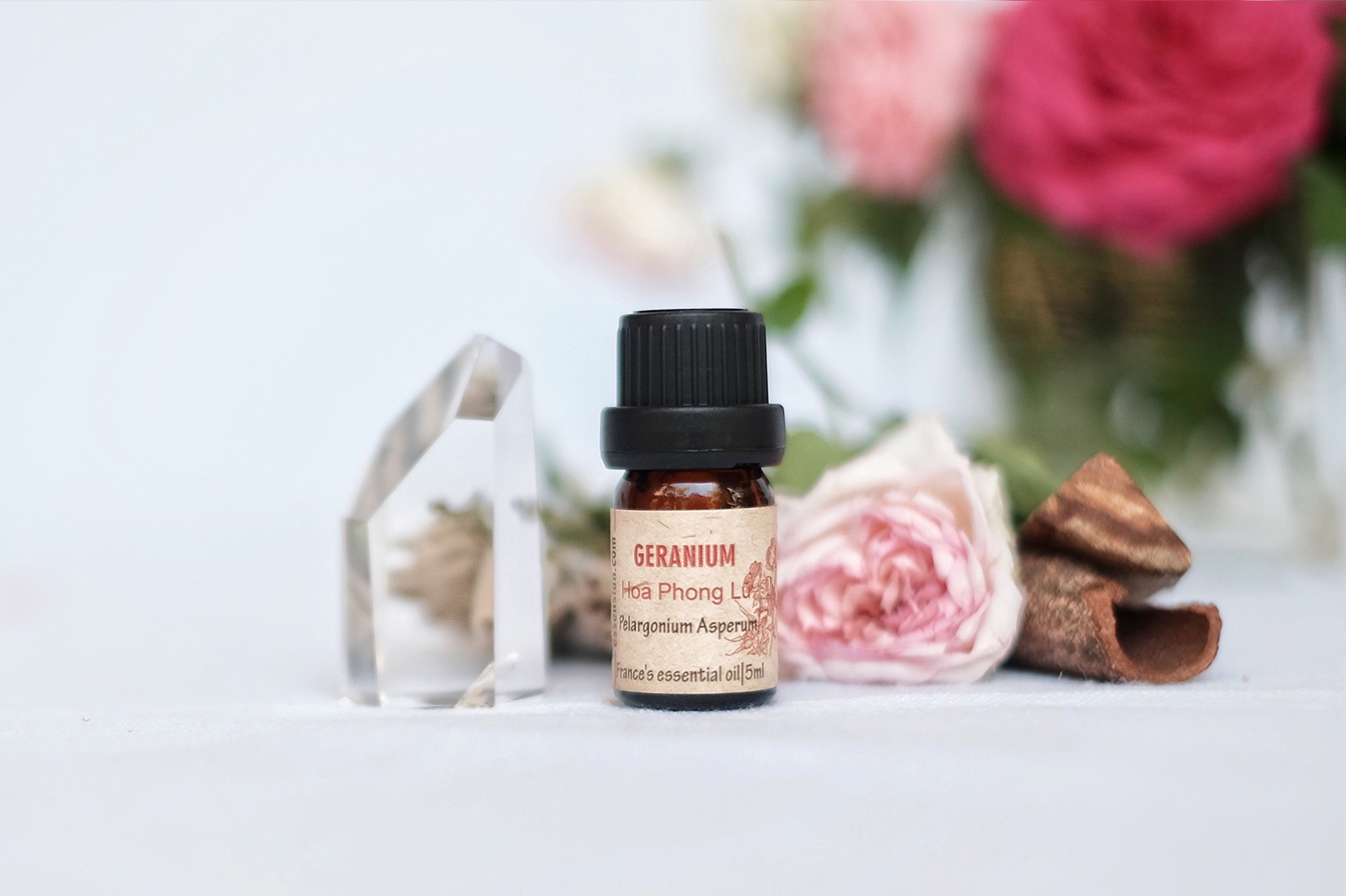 essential_oil___oil_-_geranium-essential-oil
