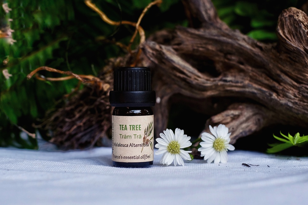 essential_oil__oil_-_tea_tree