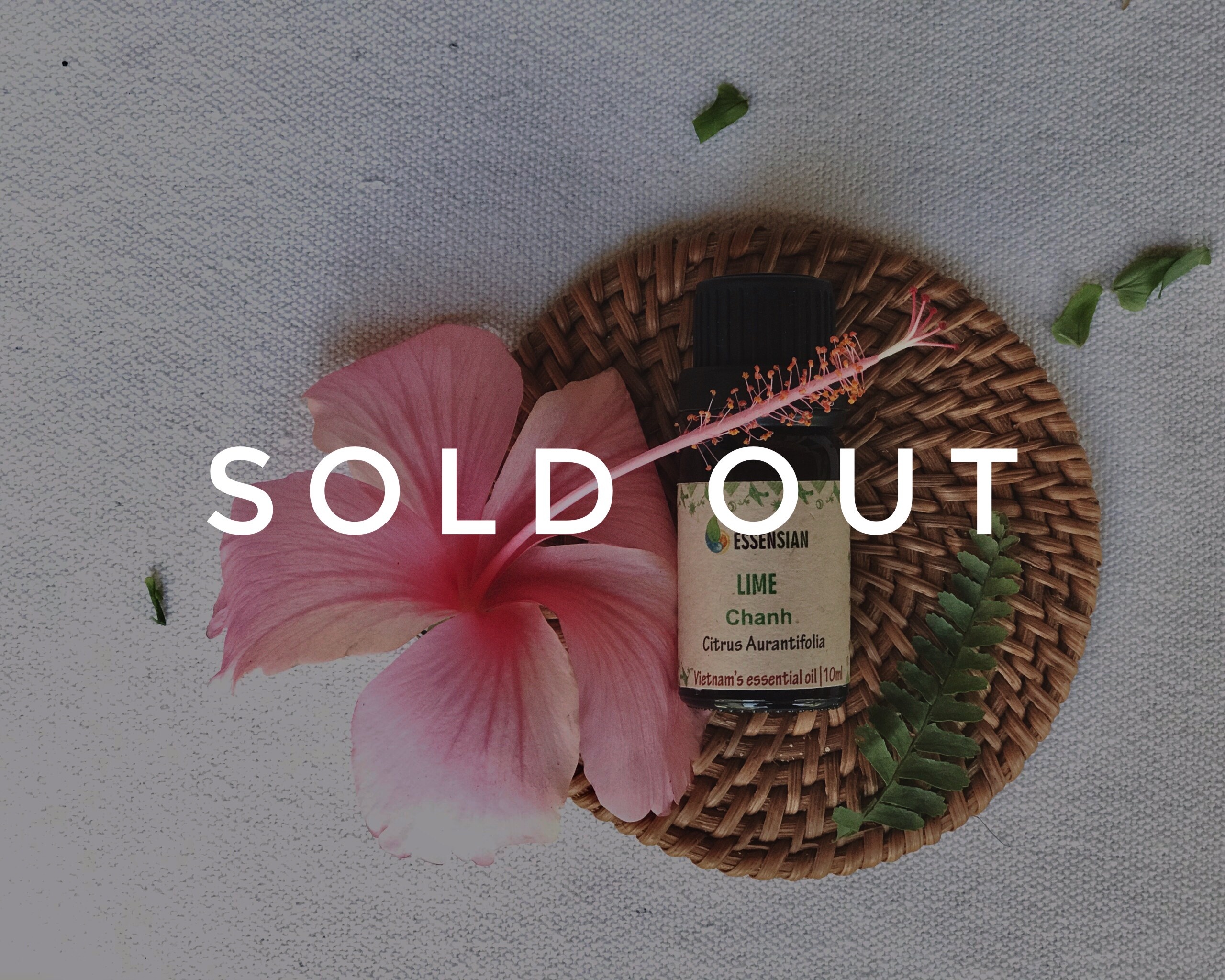 lime-essential-oil-sold-out