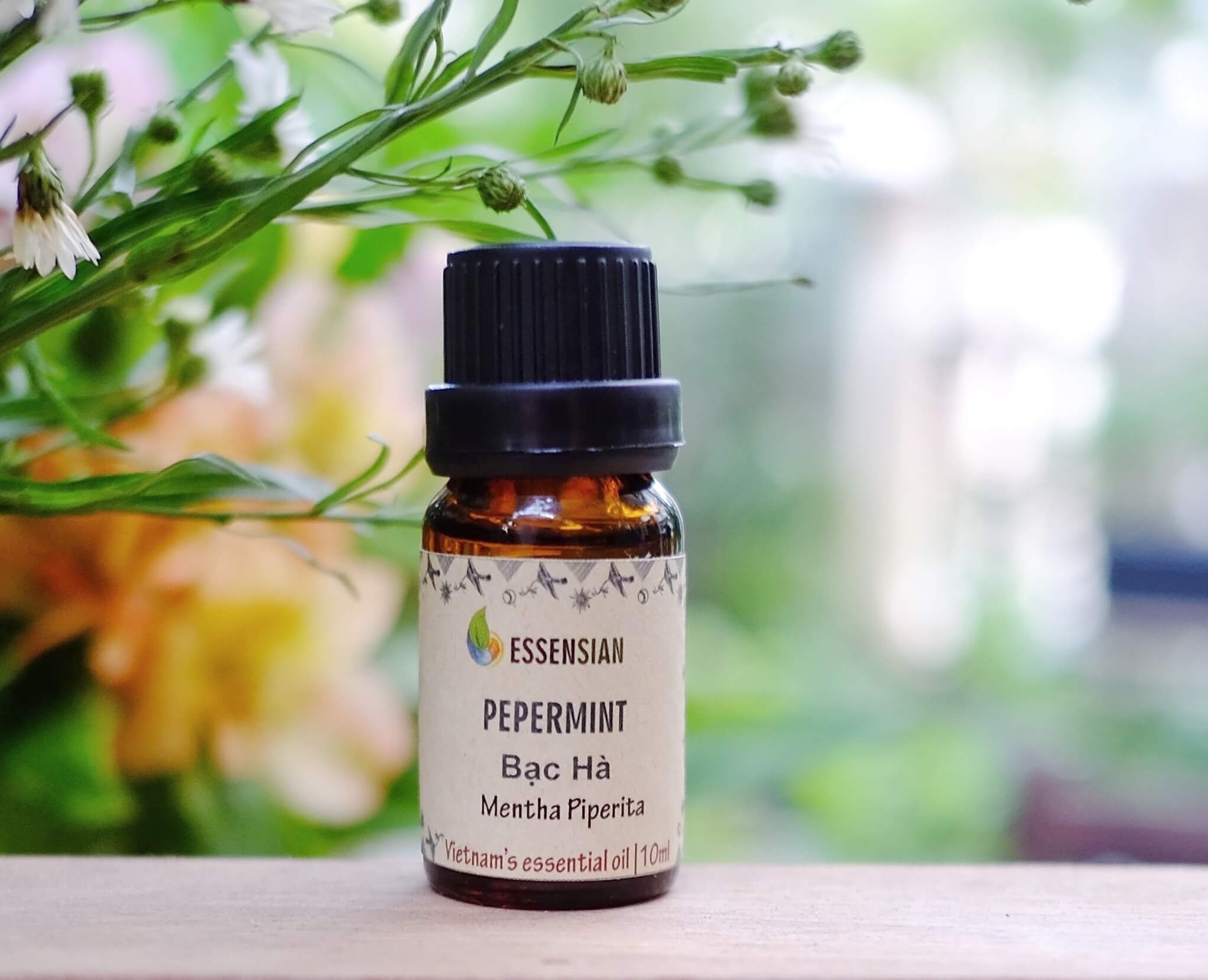 tinh_du_bc_h_-_peppermint_essensial_oil